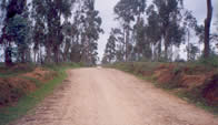 Carretera entrada a Chachapoyas